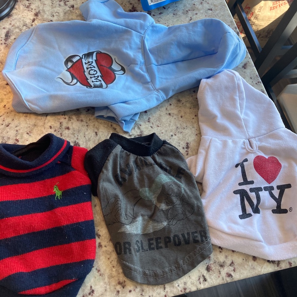 Bundle of dog clothes, leash and harness